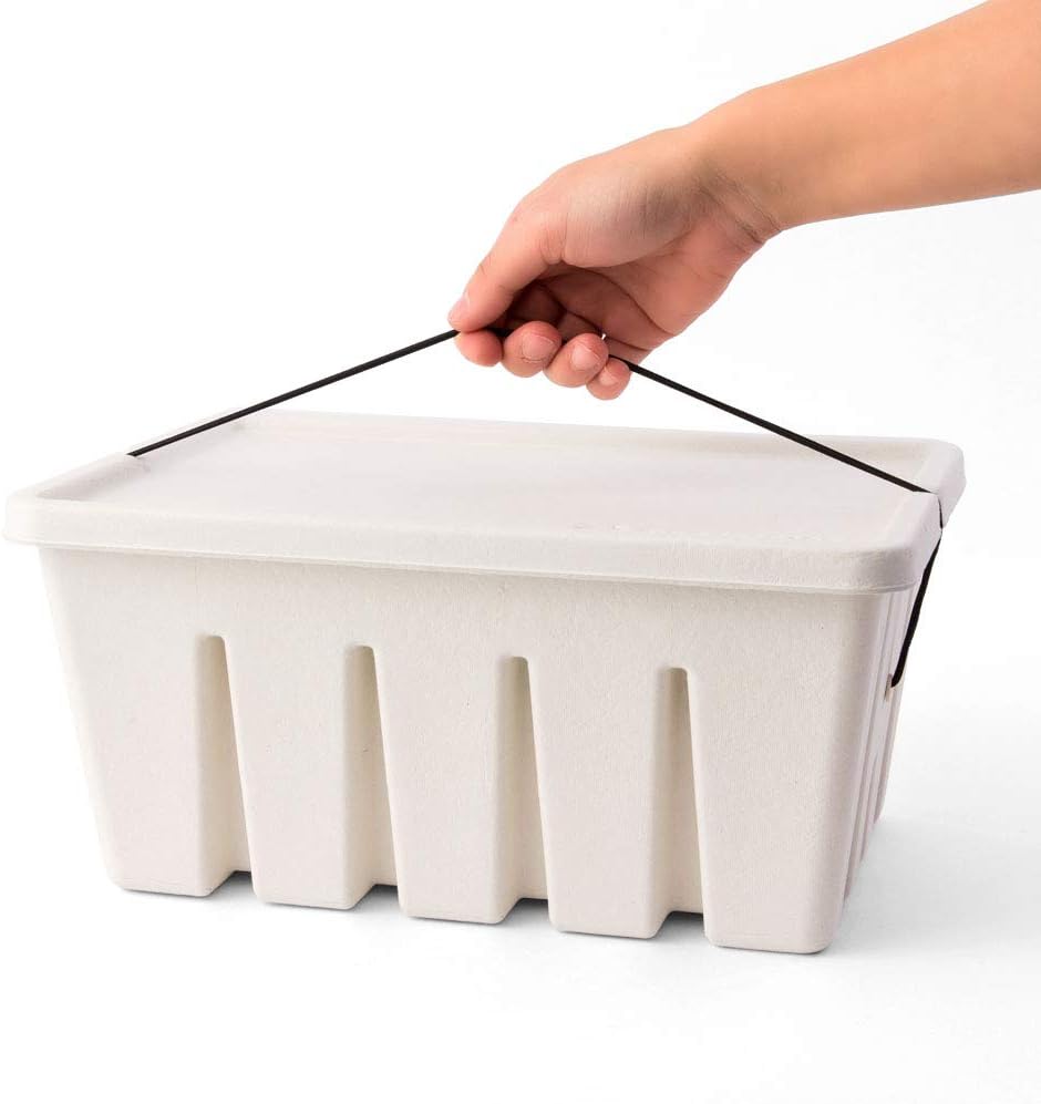 Midori Pulp Storage Post Card & Tool Box - White - Made in Japan elastic