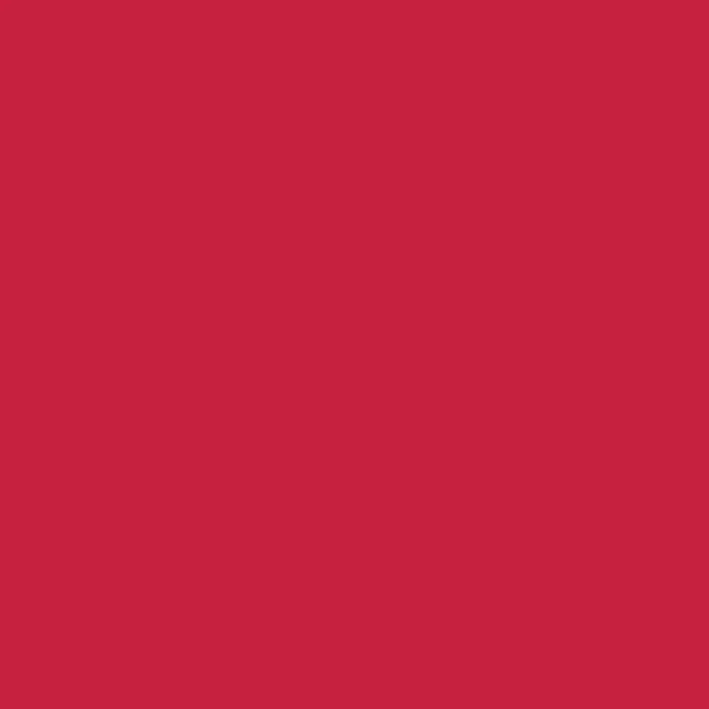 Octopus Fluids Fountain Pen Document Ink - 30 ml Bottle - Red - Made in Germany red swatch
