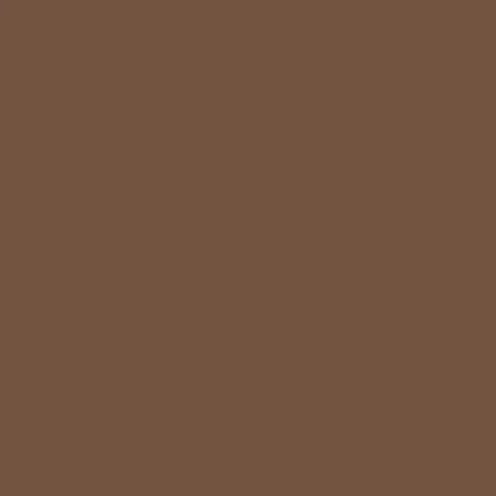A solid, uniform color swatch in a medium warm brown tone. Octopus Fluids Fountain Pen Document Ink - 30 ml Bottle - Brown - Made in Germany