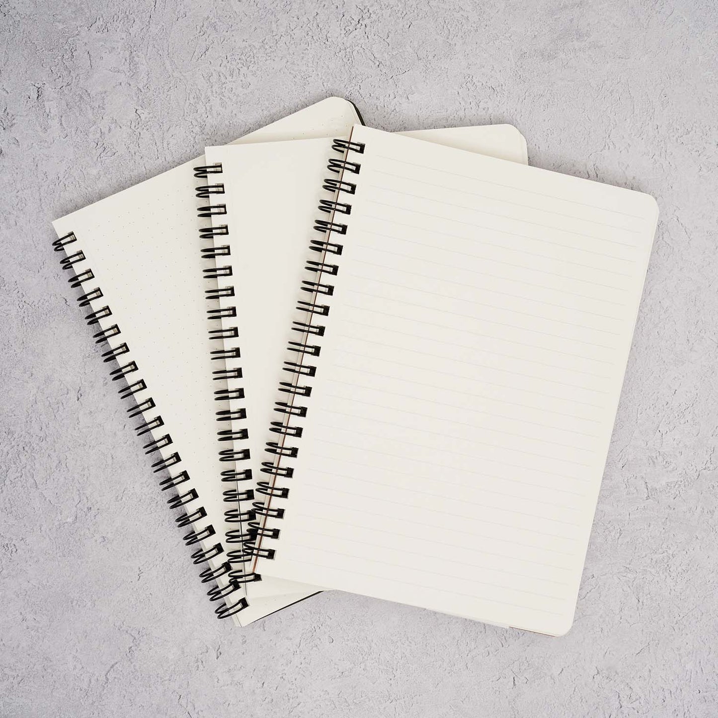 The Paper Mind Cosmo Air Light Twin Ring Notebooks with dot grid lined and blank paper styles
