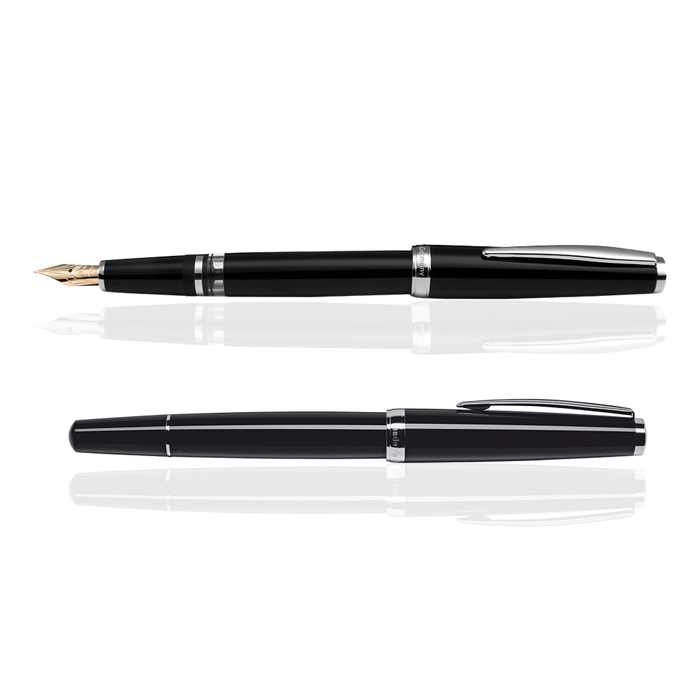 Cleo Skribent - Classic Palladium - 14k Gold Nib Fountain Pen - Piston - Black Made in Germany