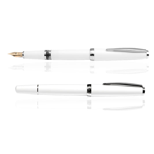 Cleo Skribent - Classic Palladium - 14k Gold Nib Fountain Pen - Piston - White