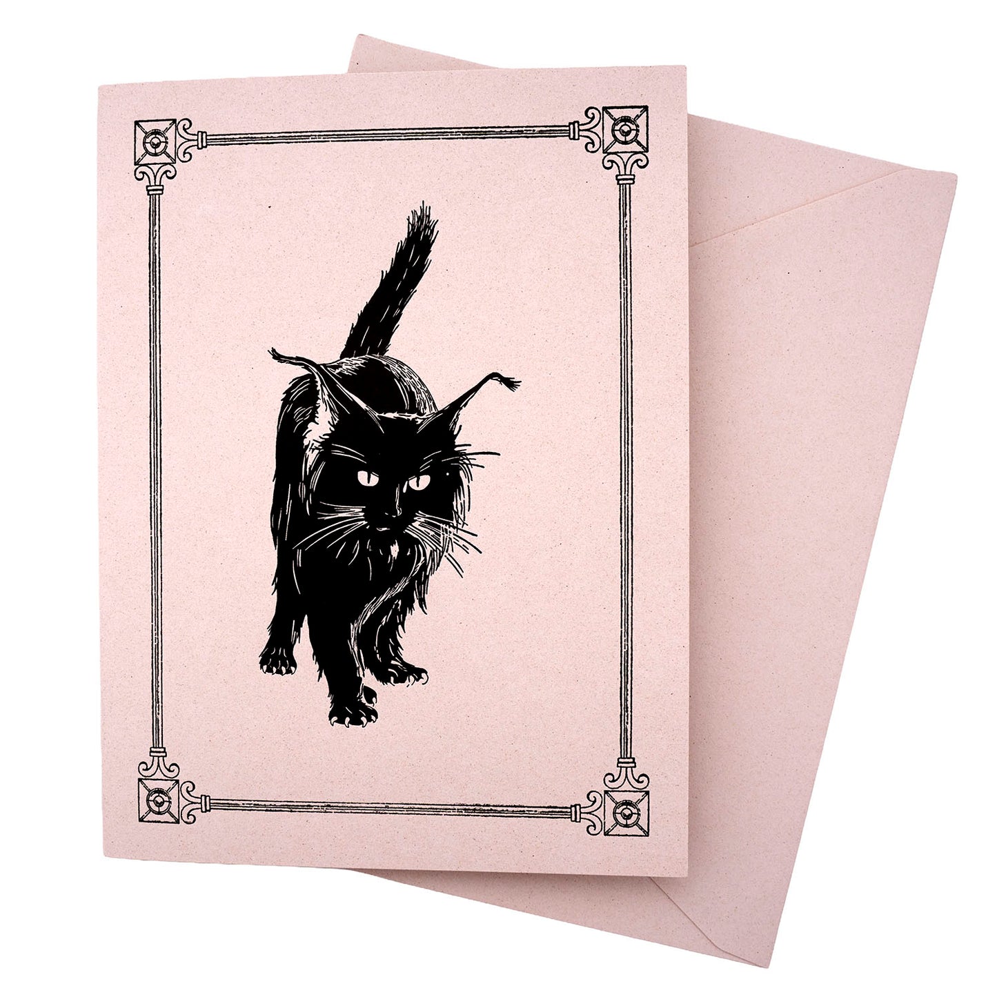 Rossi 1931 15th Century Illustration Note Cards - Black Cat | Made in Italy
