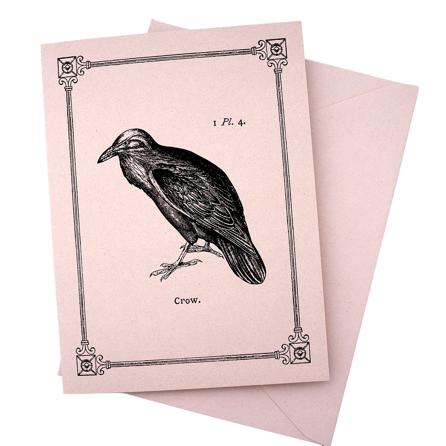 Rossi 1931 15th Century Illustration Note Cards - Black Crow | Made in Italy