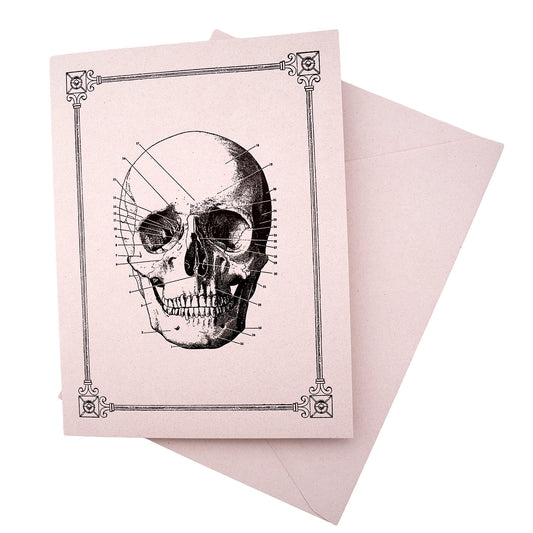 Rossi 1931 15th Century Illustration Note Cards - Skull | Made in Italy