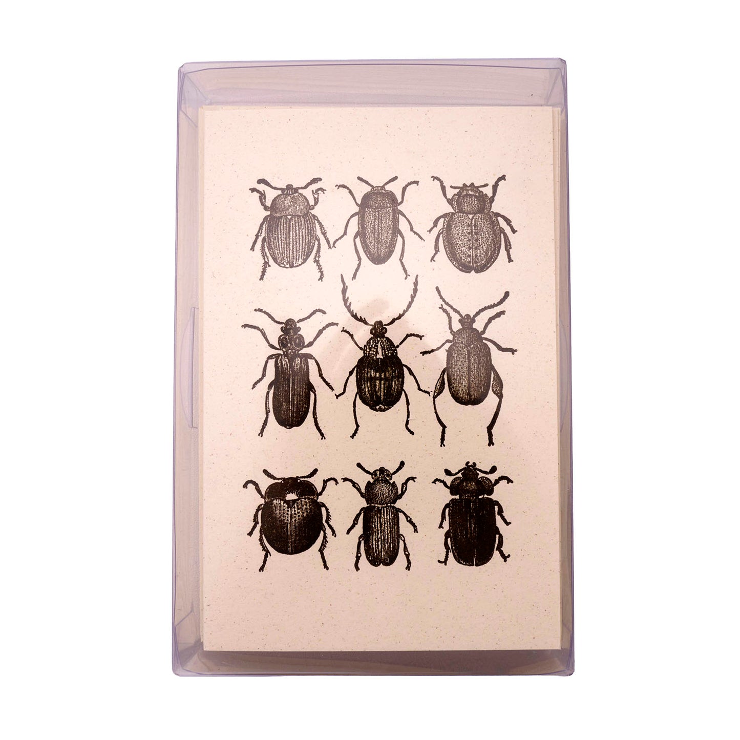 Rossi 1931 Letterpress Folded Card Letter Set - Beetles | Made in Italy Box