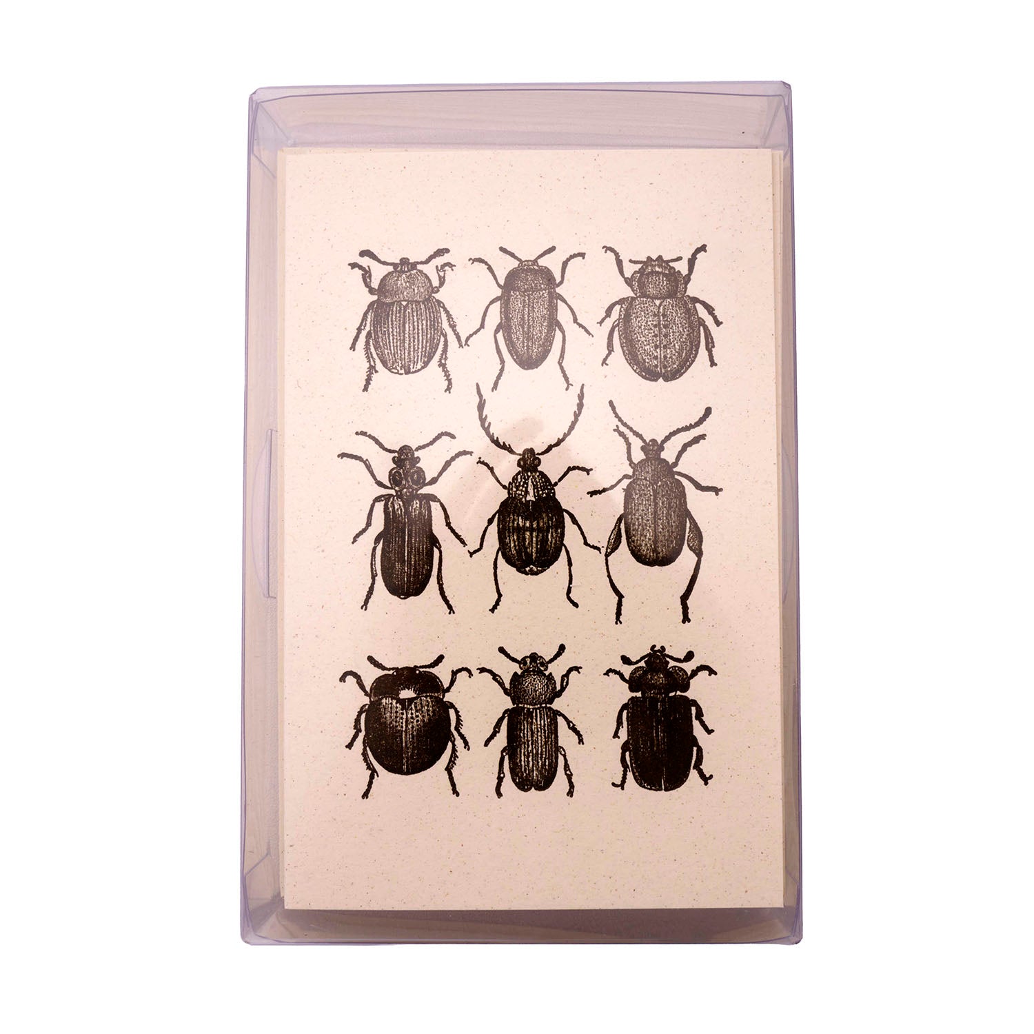 Rossi 1931 Letterpress Folded Card Letter Set - Beetles | Made in Italy Box