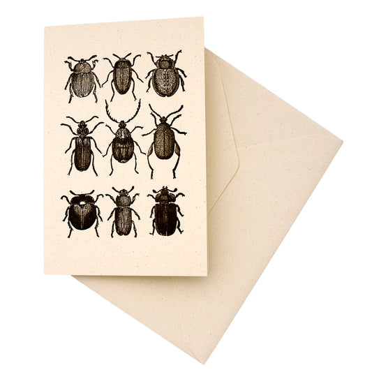 Rossi 1931 Letterpress Folded Card Letter Set - Beetles | Made in Italy