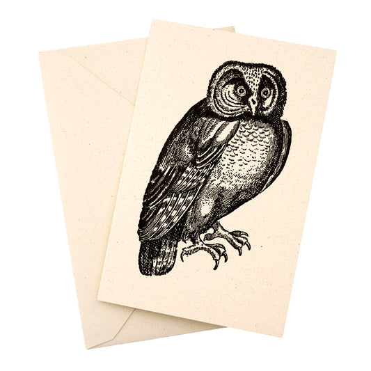 Rossi 1931 Letterpress Folded Card Letter Set - Owl | Made in Italy