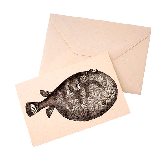 Rossi 1931 Letterpress Folded Card Letter Set - Puffer Fish | Made in Italy