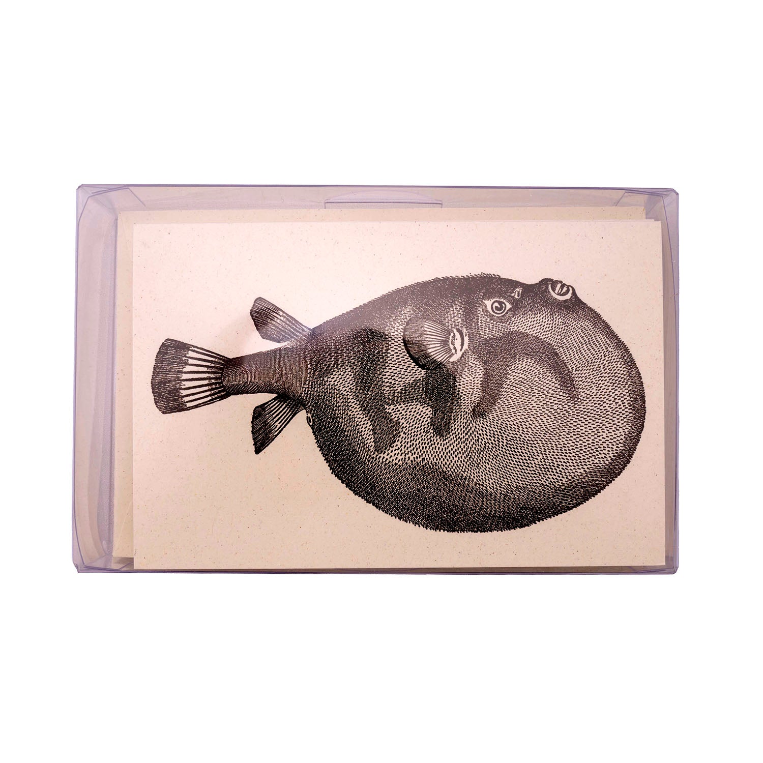 Rossi 1931 Letterpress Folded Card Letter Set - Puffer Fish | Made in Italy Box
