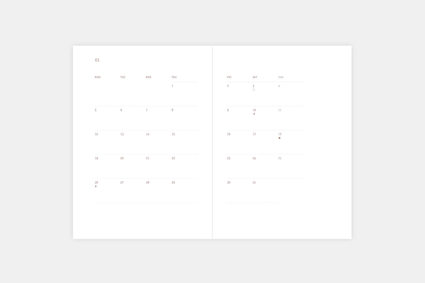 Papierniczeni Everyday 2026 Daily Calendar - Monthly Spread