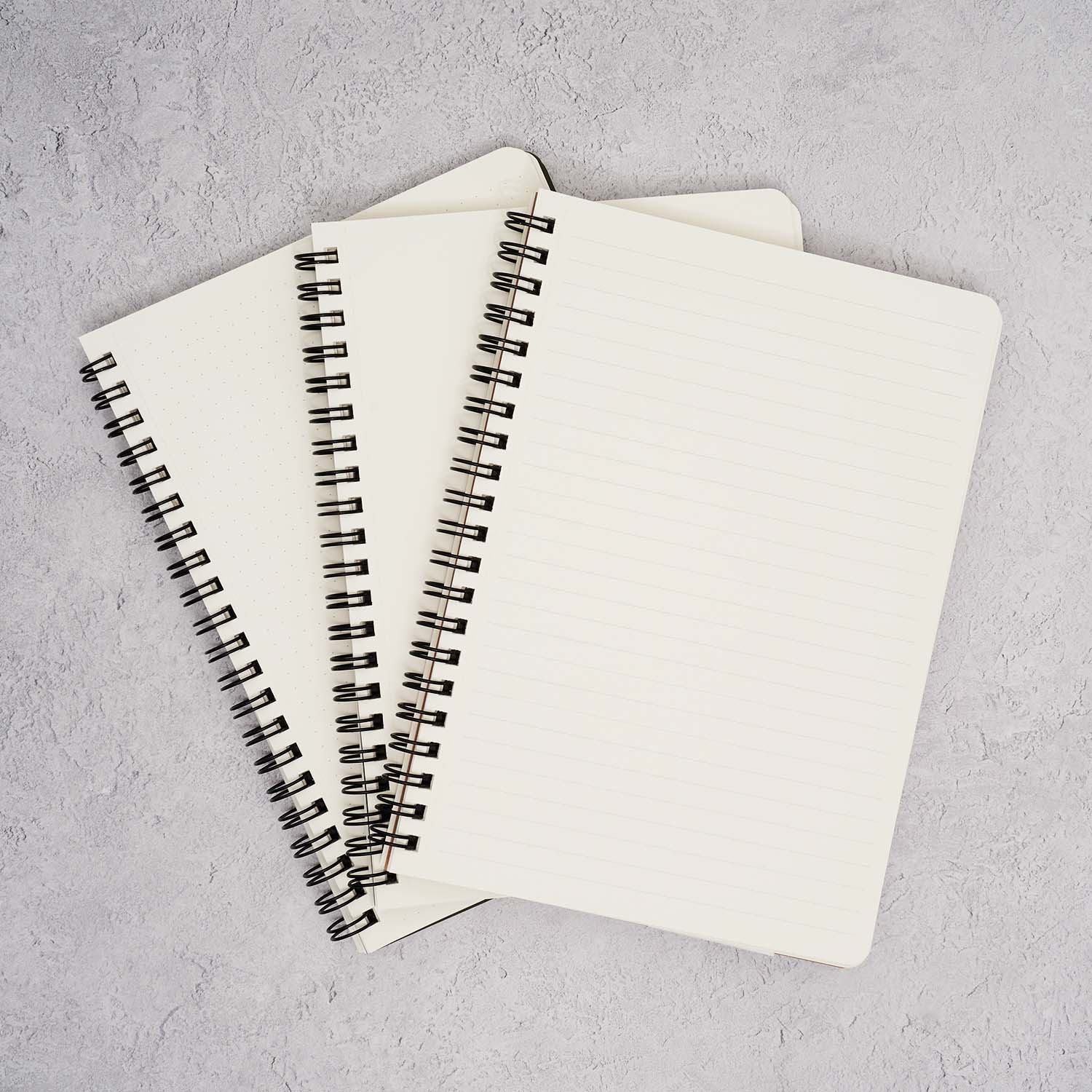 Cosmo Air Light Twin Ring Spiral Fountain Pen Friendly Notebook – The ...